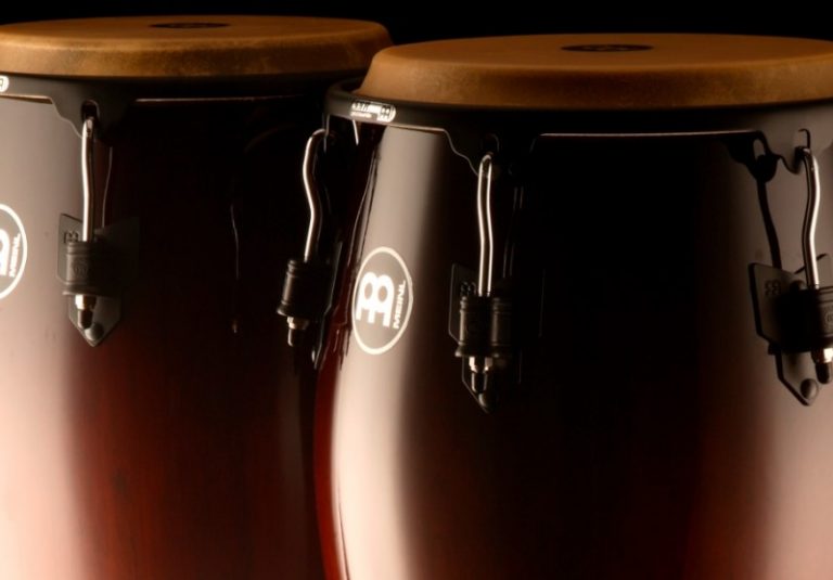 CONGA (Instrumento Musical)【2024 】【Guía Especializada】